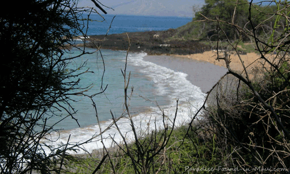 575px x 345px - Little Beach - Maui's Most Famous Nude Beach!
