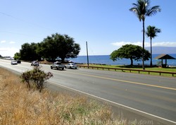 Picture of the highway in Maui, Hawaii.