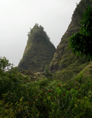picture of the Iao Needle in the Maui Iao Valley State Park