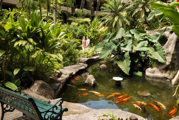 Picture of the koi pond at the Aston Paki Maui condo rentals near Kaanapali Beach.