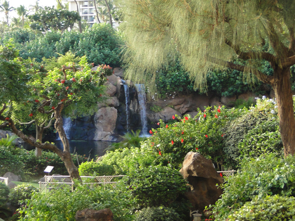 Tropical Landscaping at the Hyatt