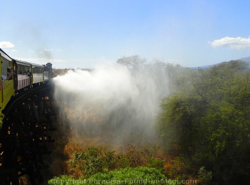 Picture of the Sugar Cane Train on Maui, Hawaii.