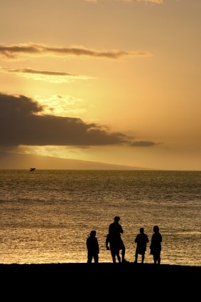 family whale watching in Maui from land